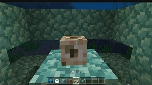 我的世界海洋版