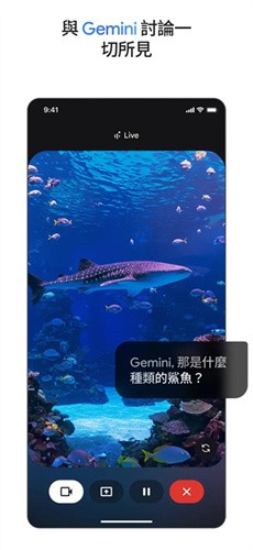 gemini截图1