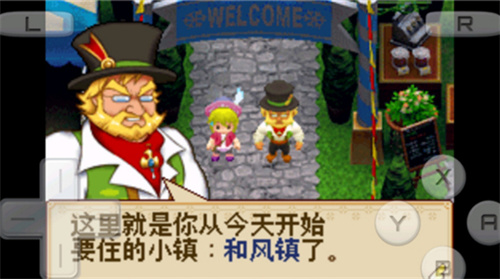 牧场物语风之集市