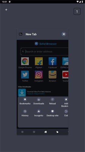 Safari浏览器截图0