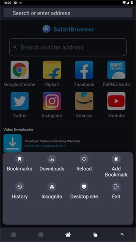 Safari浏览器截图1