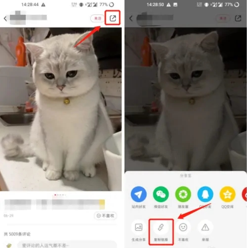 小红书图片怎么保存无水印 保存无水印图片教程