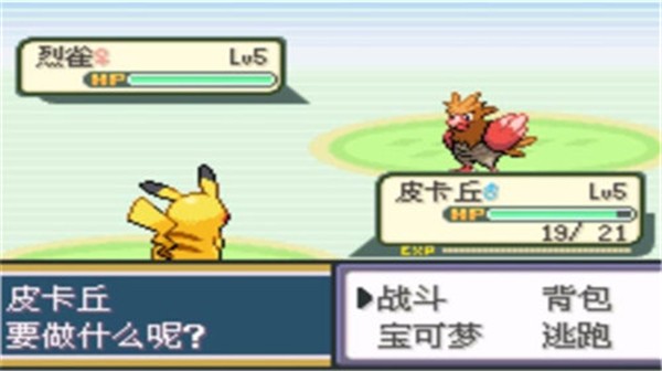 口袋妖怪圣灰汉化版截图1