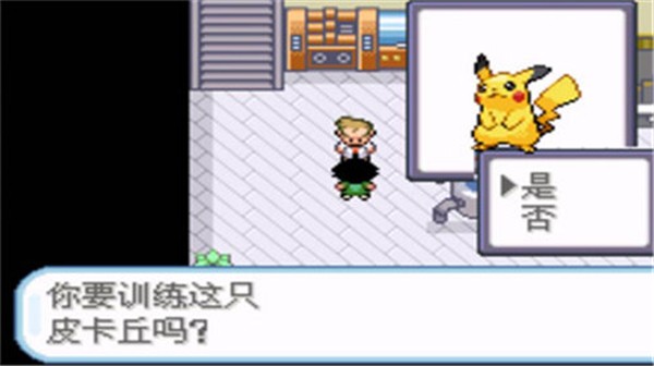 口袋妖怪圣灰汉化版截图3