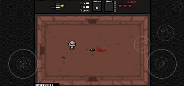 以撒的结合重生手机版截图2