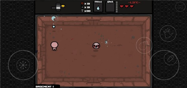 以撒的结合重生手机版截图3