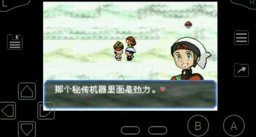口袋妖怪绿宝石随机版