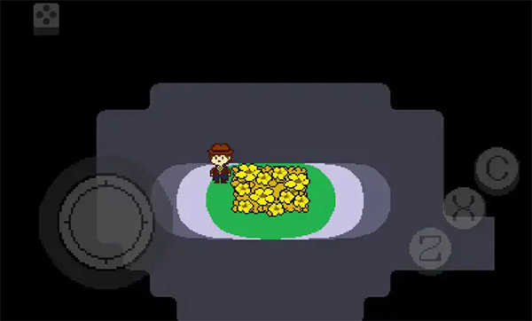 传说之下黄金正义截图2