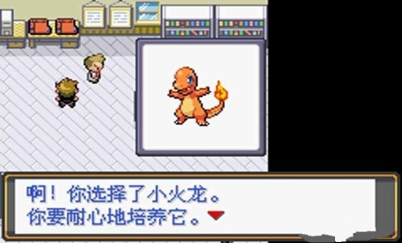 口袋妖怪绿宝石随机版截图0