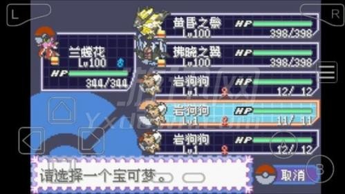 口袋妖怪绿宝石随机版截图3