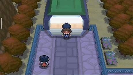 口袋妖怪超透黑2截图2