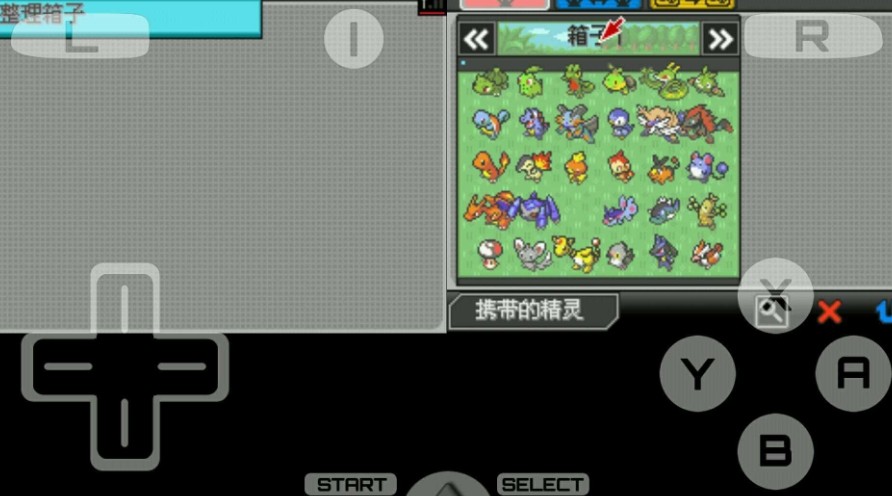 口袋妖怪超透黑2截图4