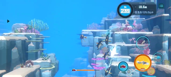 潜水员戴夫金枪鱼在哪