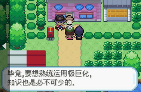 口袋妖怪剑盾像素版截图3