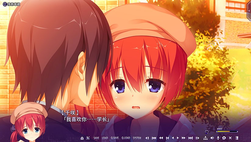 RiddleJoker冷狐版截图1