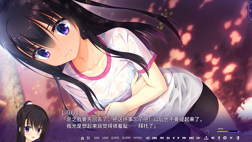 RiddleJoker冷狐版截图2