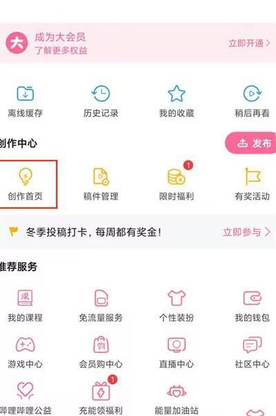 哔哩哔哩充电是什么意思