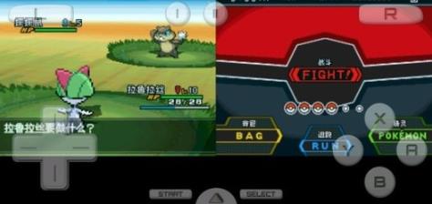 口袋妖怪超透黑2