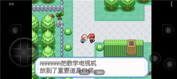 口袋妖怪圣灰汉化版