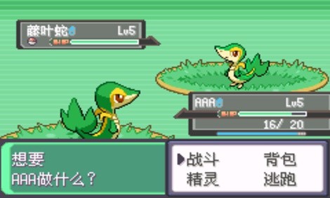 口袋妖怪漆黑的魅影截图2