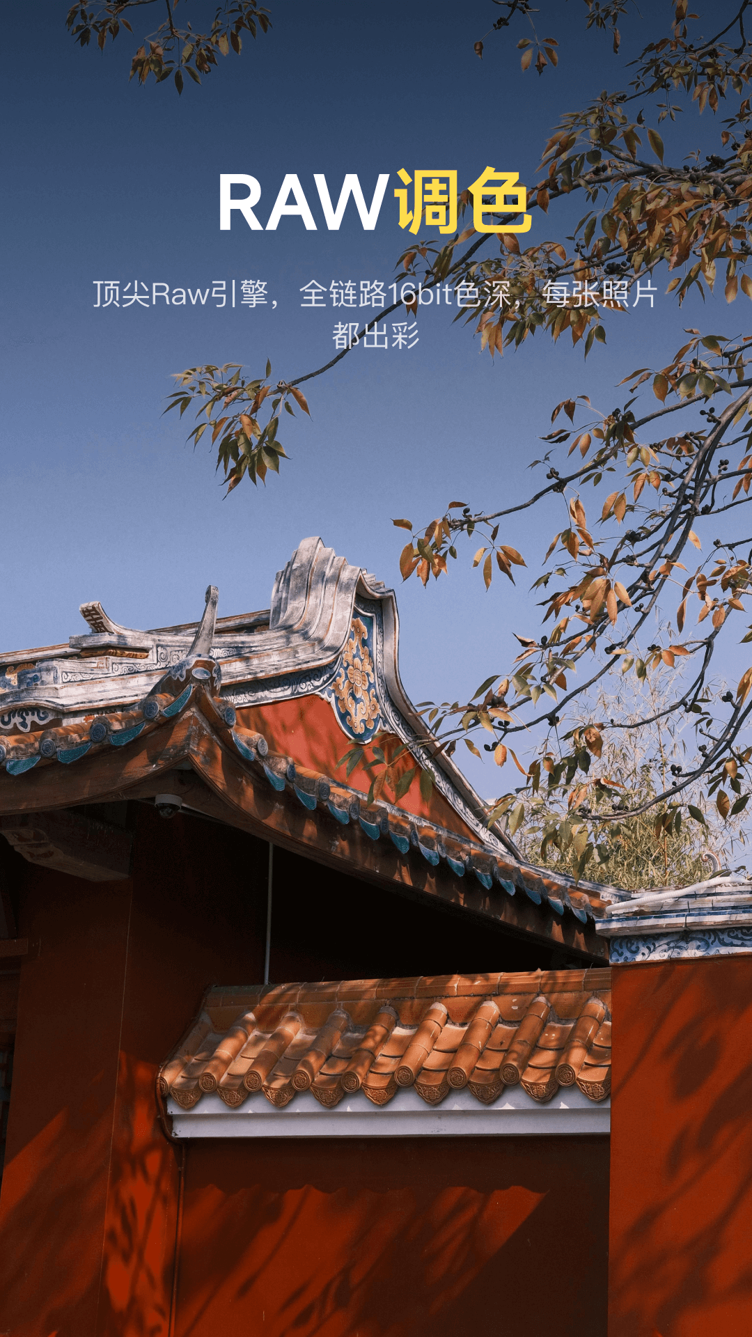 像素蛋糕免费版截图2