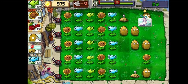 庄不纯植物娘大战僵尸截图1