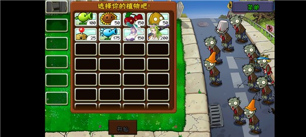 庄不纯植物娘大战僵尸截图2