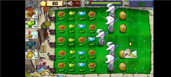 庄不纯植物娘大战僵尸截图3