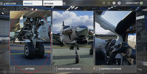 模拟飞行中文版