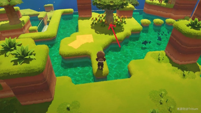 星布谷地星海旅行路牌答案一览