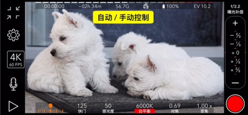 promovie怎么使用镜像 镜像设置方法