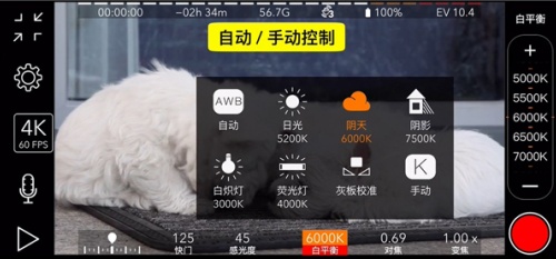 promovie怎么使用镜像 镜像设置方法