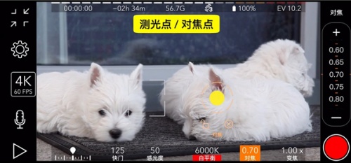 promovie怎么使用镜像 镜像设置方法