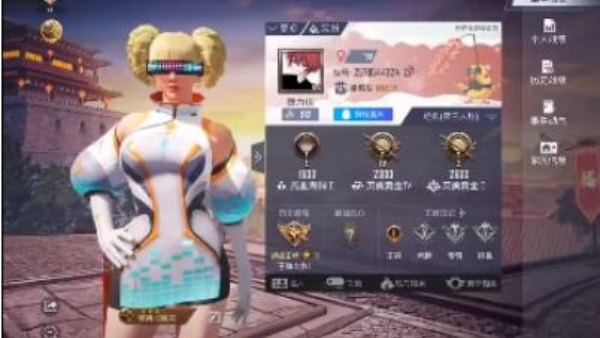 和平精英美化包