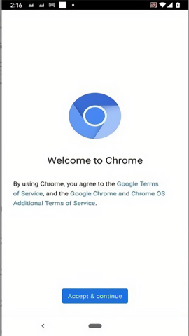 Chromium浏览器截图2