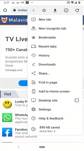 Chromium浏览器截图3