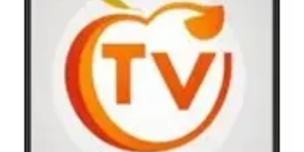 油桃TV下载合集