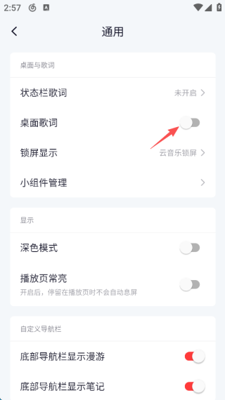 网易云音乐歌词怎么开启 歌词开启教程