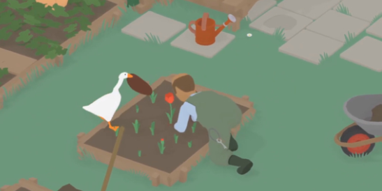 捣蛋鹅双人联机版