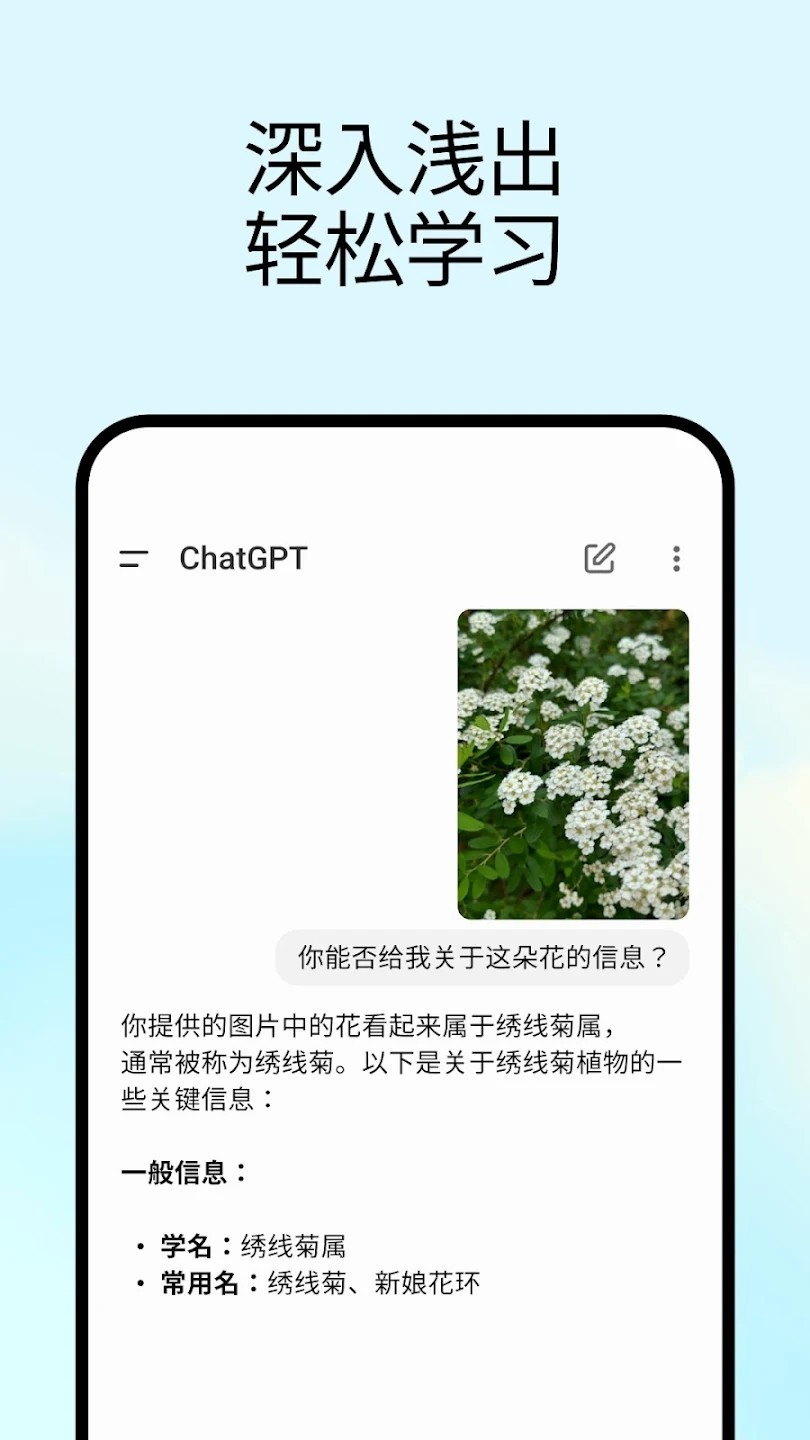 ChatGPT中文免费版截图3