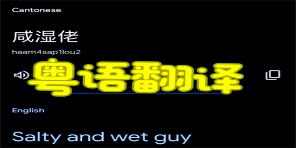 免费粤语翻译器app推荐