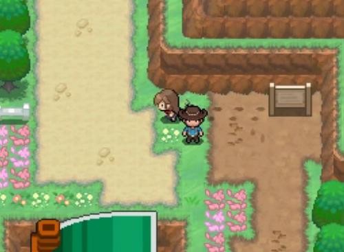 宝可梦蛋白石截图2