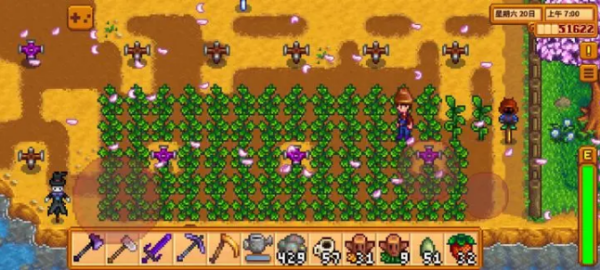 星露谷物语上古水果有什么用