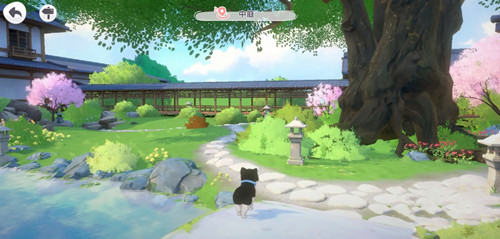 魔女的泡汤生活