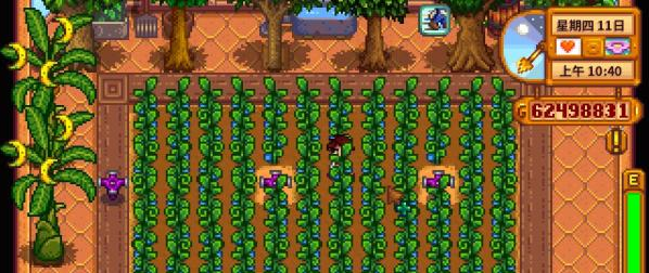 星露谷物语上古水果有什么用