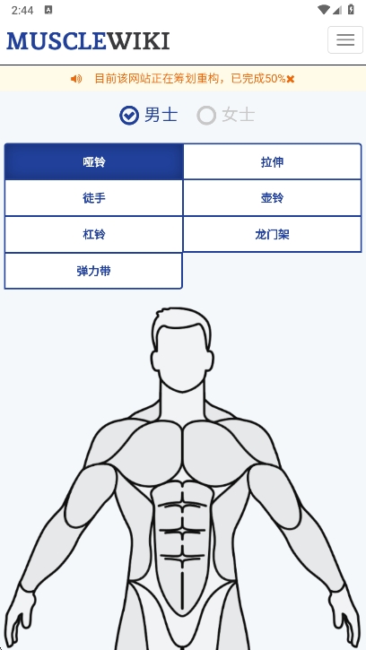 Musclewiki截图2