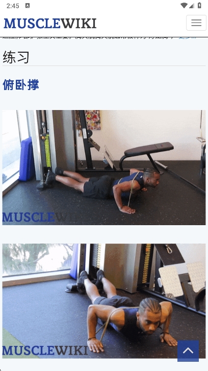 Musclewiki截图3