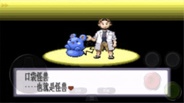 口袋妖怪红宝石截图2