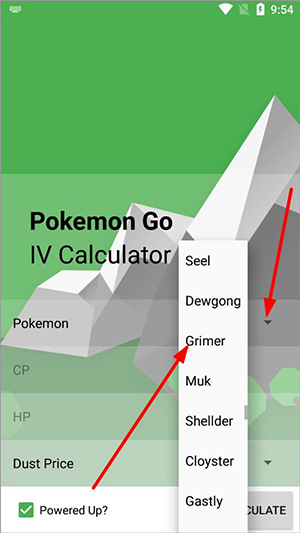 口袋妖怪个体值计算器