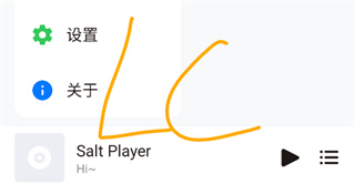 椒盐音乐播放器